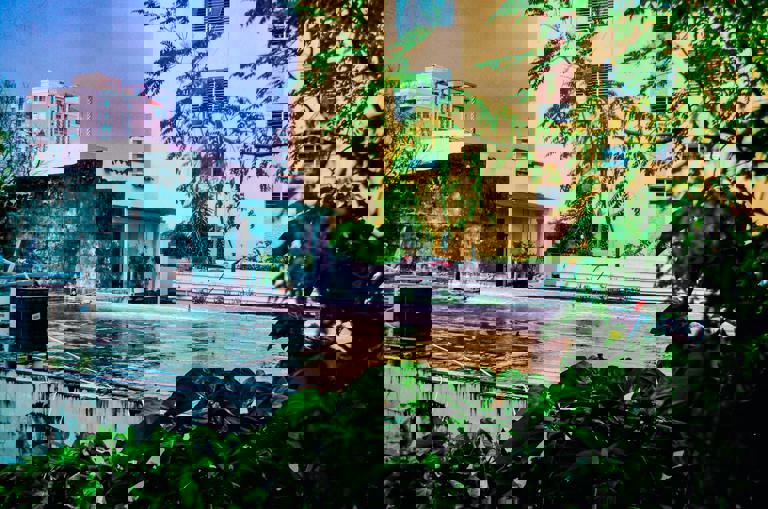 Secret Rooftop Gardens Offer Quiet Escape Above the Urban Hustle