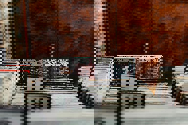 Vintage Record Shops Experience Unexpected Revival Among Young Collectors